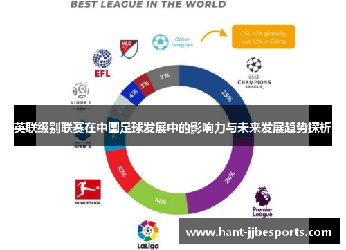英联级别联赛在中国足球发展中的影响力与未来发展趋势探析